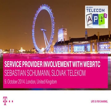 Service Provider Involvement with WebRTC