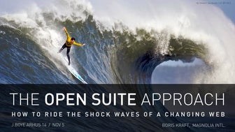 The Open Suite Approach: How to ride the shock waves of a changing web