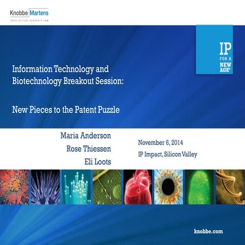 Information Technology/Biotechnology