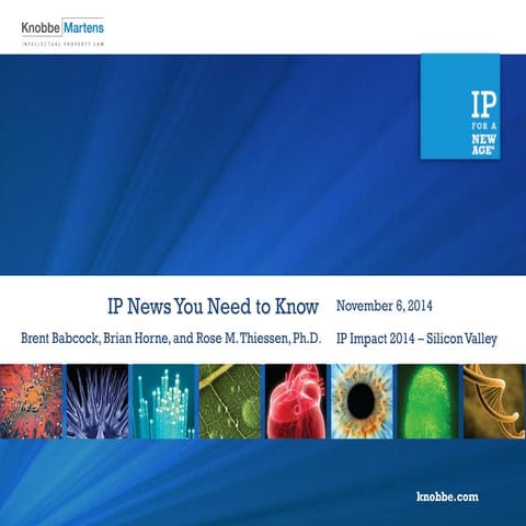 IP News You Need to Know