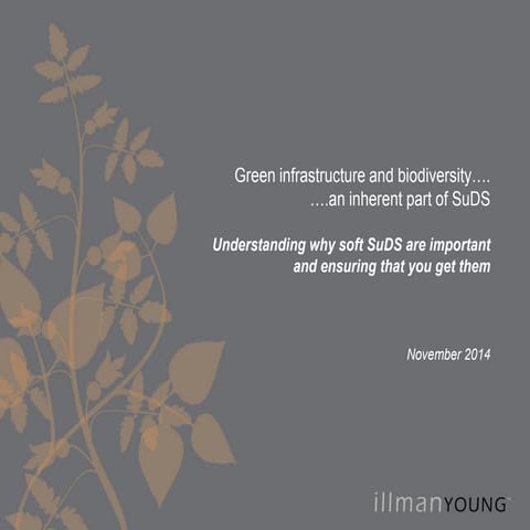 Green Infrastructure & Biodiversity, Functional Landscapes Seminar, Sue Illman