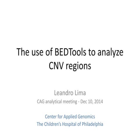 The use of BEDTools to analyze CNV regions