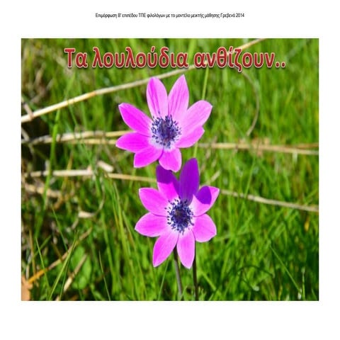 Επιμόρφωση B' επιπέδου ΤΠΕ φιλολόγων Γρεβενά Μάρτιος 2014