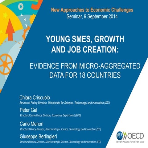 2014.09.09 - NAEC Seminar_Young SMEs, growth and job creation