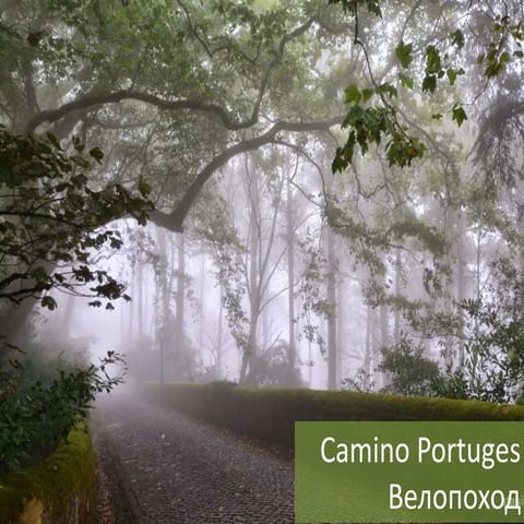 Camino Portuges. Велопоход по Португалии, 2кс, сентябрь 2014