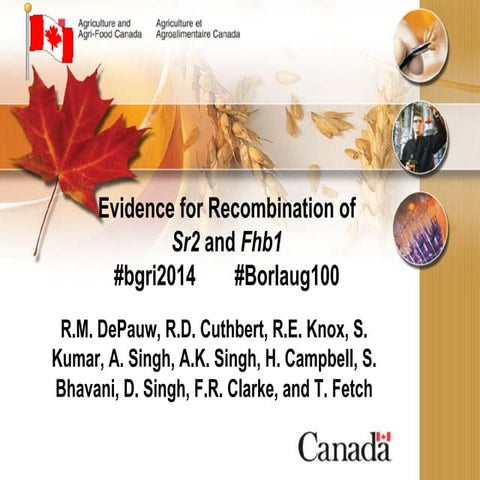 2014 bgri de pauw presentation