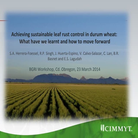 Achieving  sustainable  leaf  rust  control  in  durum  wheat: What  have  we  learnt  and  how  to  move