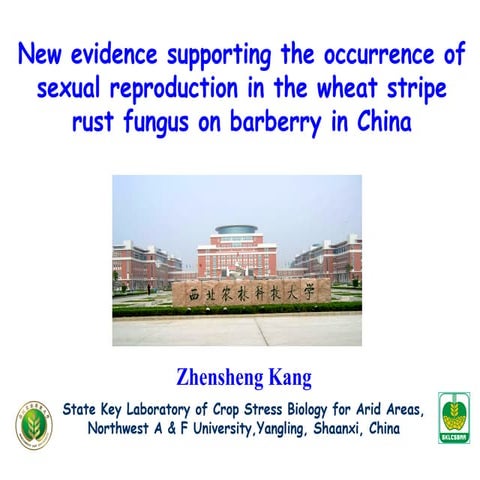 New evidence supporting the occurrence of sexual reproduction in the wheat st...