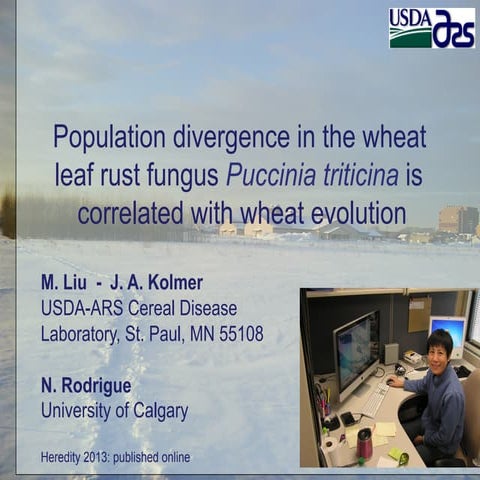 Population divergence in the wheat leaf rust fungus Puccinia triticina is cor...