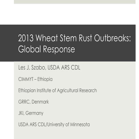 2013 Wheat Stem Rust Outbreaks: Global Response 
