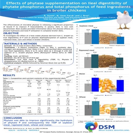 2014 - Effects of phytase supplementation on ileal digestibilty of phytate ph...