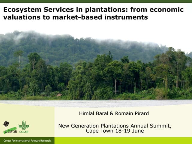 Ecosystem Services in plantations: from economic valuations to market-based instruments