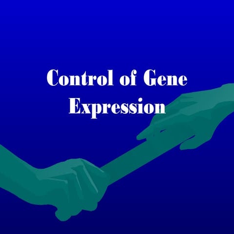 Regulation of gene Expression.pdf....... | PDF
