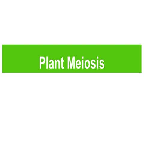 2014 plant-meiosis