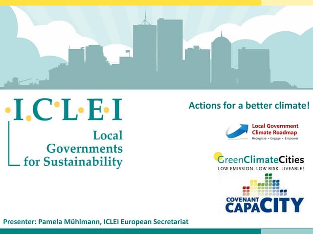 20140221 iclei pamela muhlmann 