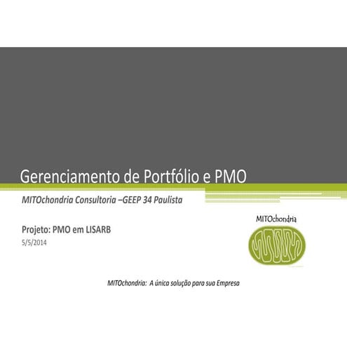 MITOchondira Consultoria