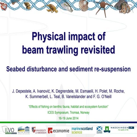 20140616 19 depestele-physical_impact_vfinalpresented