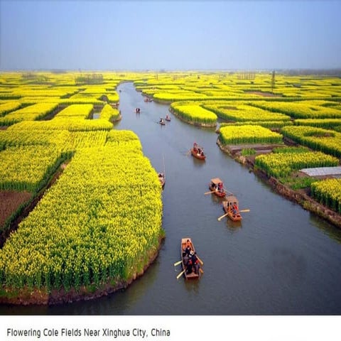 THE NATURE OF THE WORLD 