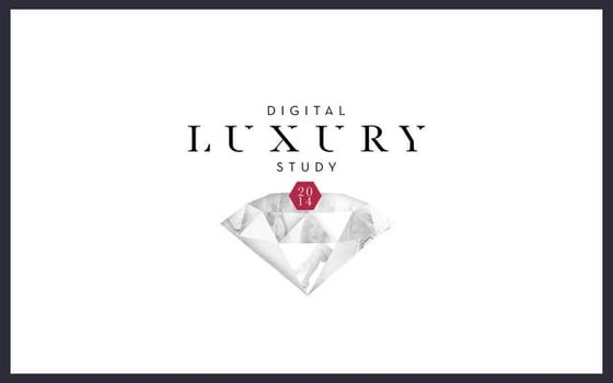 Digital Luxury Study 2014