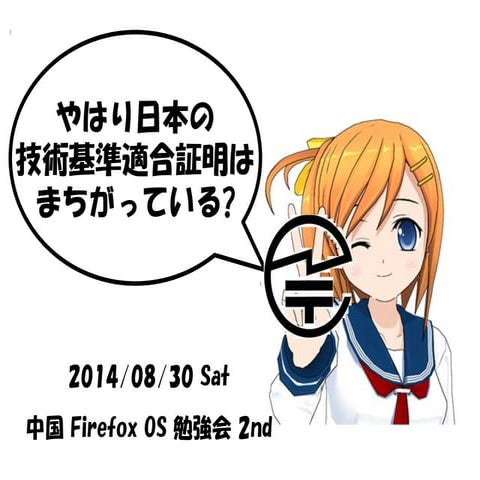 やはり日本の技術基準適合証明はまちがっている?