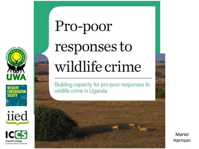 Pro-poor responses to wildlife crime wildlife crime