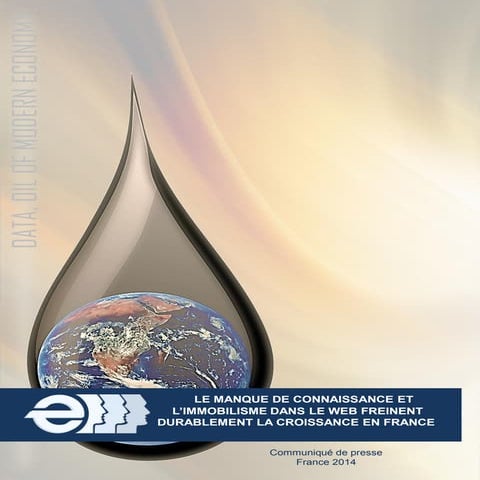 Manque de connaissance et immobilisme dans le web sont des freins pour la cro...