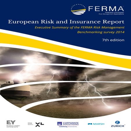 European Risk and Insurance Report: Executive Summary of the FERMA Risk ...