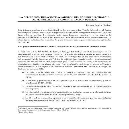 20141030   informe tutela laboral sector publico