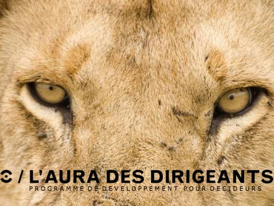 Orchestraaa: L'Aura des Dirigeants au Pecha Kucha Mons 10/2014