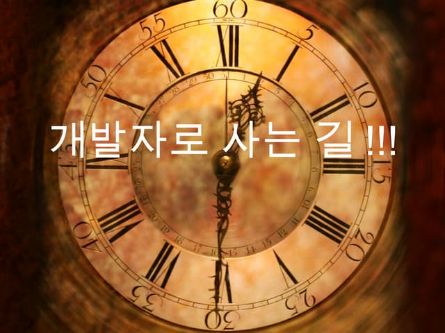 개발자로 사는 길!!! 20141114