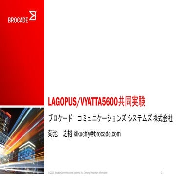 20141117 lagopus-bof-iw2014