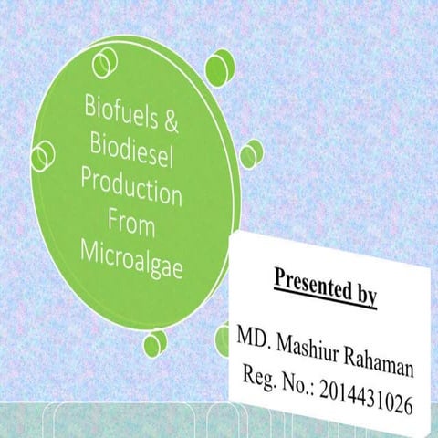 Biodiesel Production from Microalgae