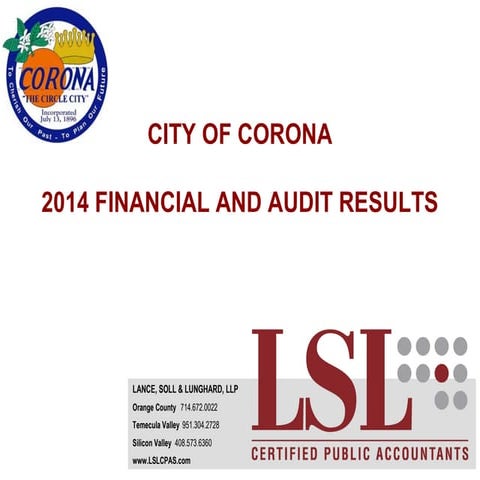 LSL 2014 Audit Results and Financial Analysis