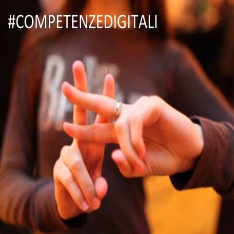 2014 dicembre competenze digitali Formez a Cagliari