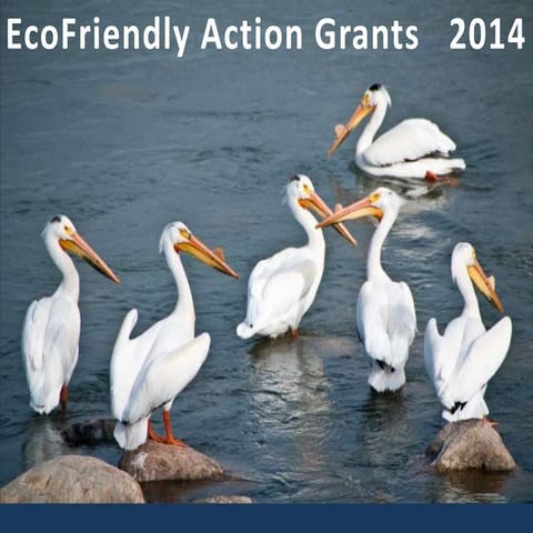 2014 EcoFriendly Action Grants