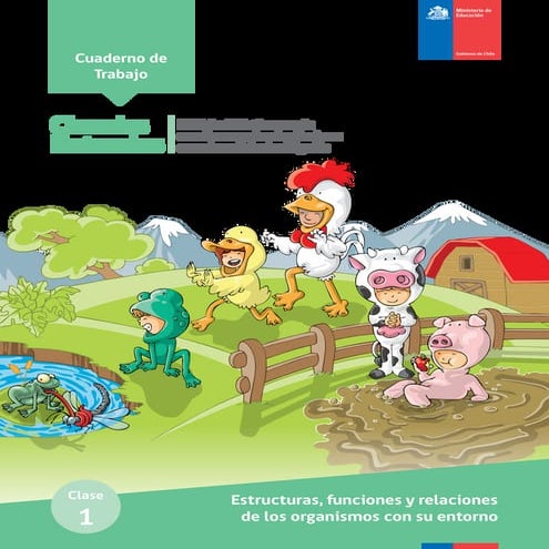 2014EstructurafuncionesyrelacionesClase1.pdf