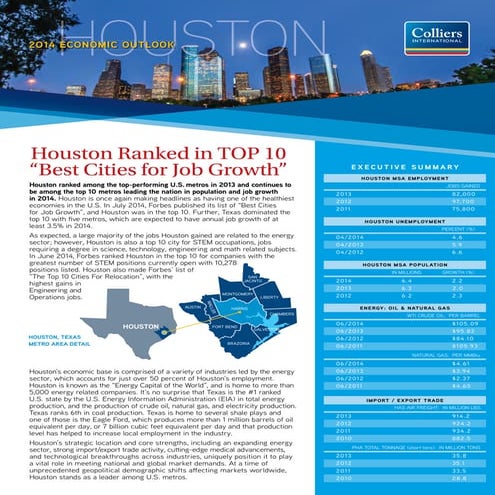 2014 Houston Economic Outlook