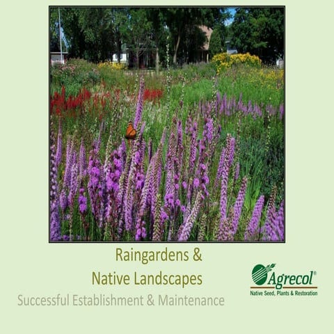 Raingarden Education