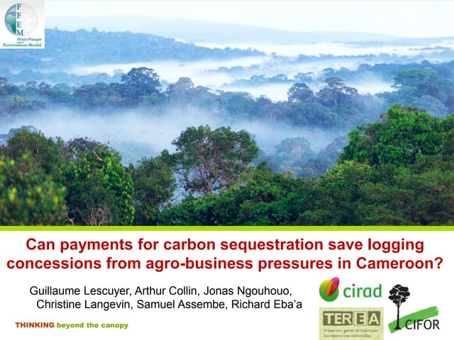 thumbnail of  Can payments for carbon sequestration save logging concessions from agro-business pressures in Cameroon?