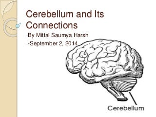'cerebellum' on SlideShare