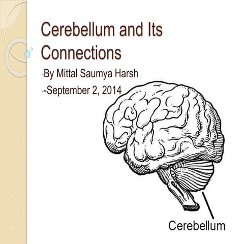 2014 sep 2 cerebellum and its connections | PPTX