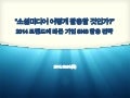 2014 트렌드에 따른 기업 소셜미디어SNS 활용 전략