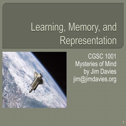 Learning, Memory, and Representation (in Cognitive Science)
