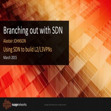 Branching out with SDN