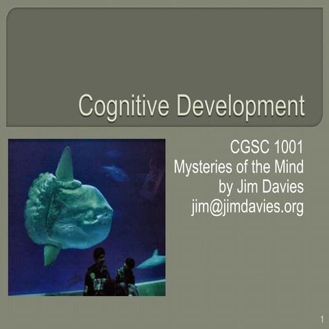 The Cognitive Science of cognitive development