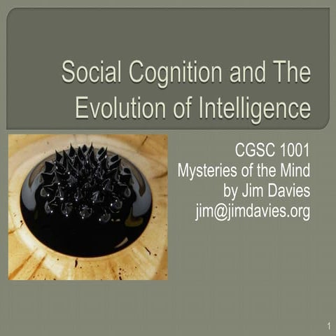 Social Cognition and the History of Intelligence