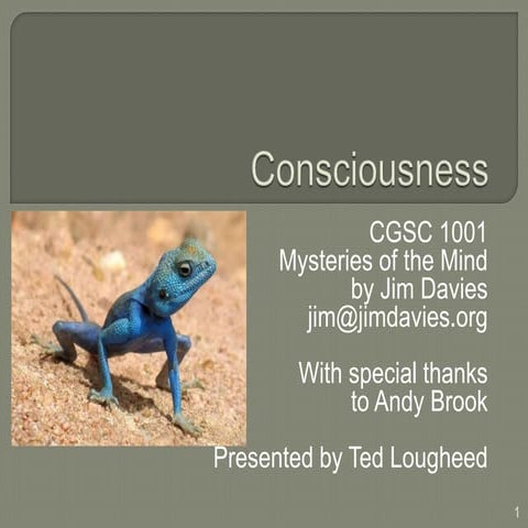 The Cognitive Science of consciousness