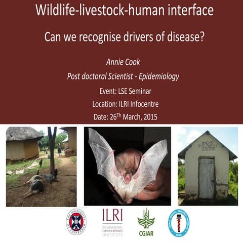 Wildlife-livestock-human interface: recognising drivers of disease