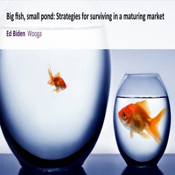 Big Fish, small pond - strategies for surviving in a maturing market - Ed Biden