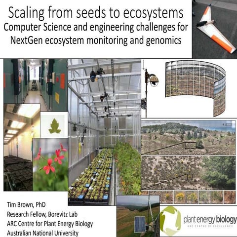 2015 05 Scaling from seeds to ecosystems